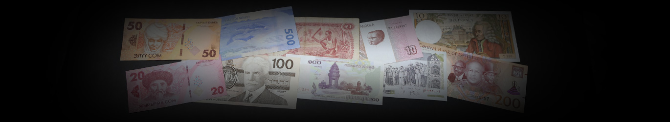 paper money banknote collecting supplies pages sleeves