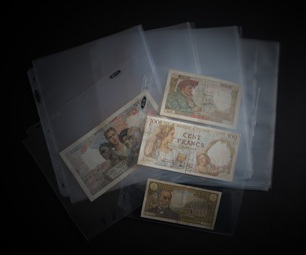 BCW 100 Page Currency Multipack
