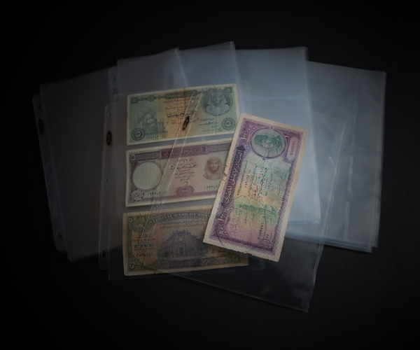 BCW 20 Page Currency Multipack
