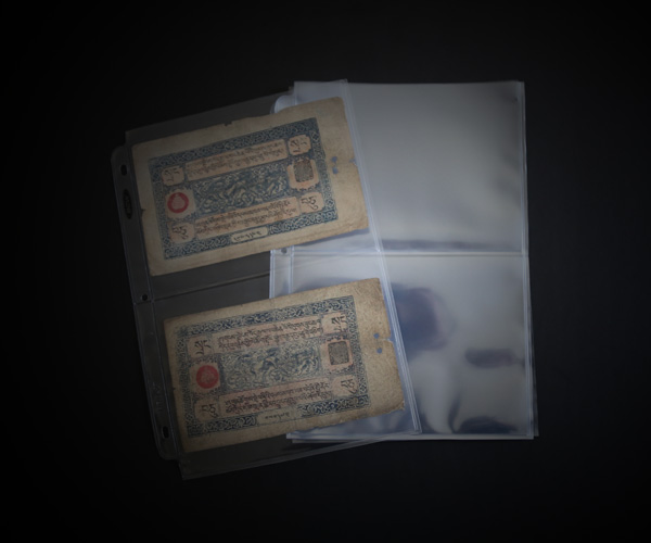 BCW Two Pocket Currency Page 10 Pack