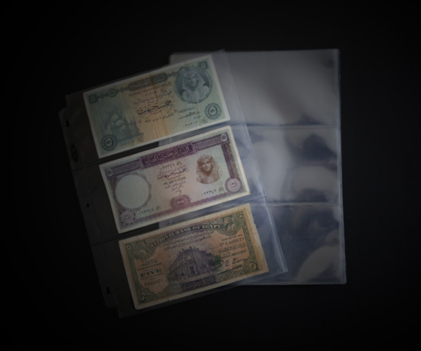 BCW Three Pocket Currency Page 10 Pack