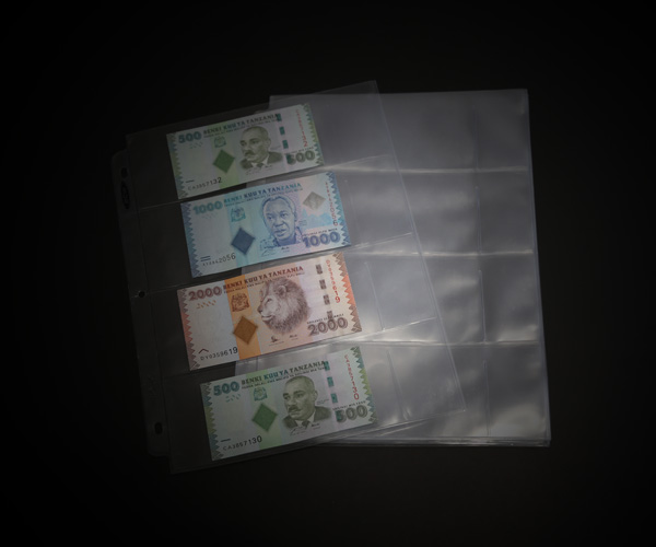 BCW Four Pocket Currency Page 10 Pack