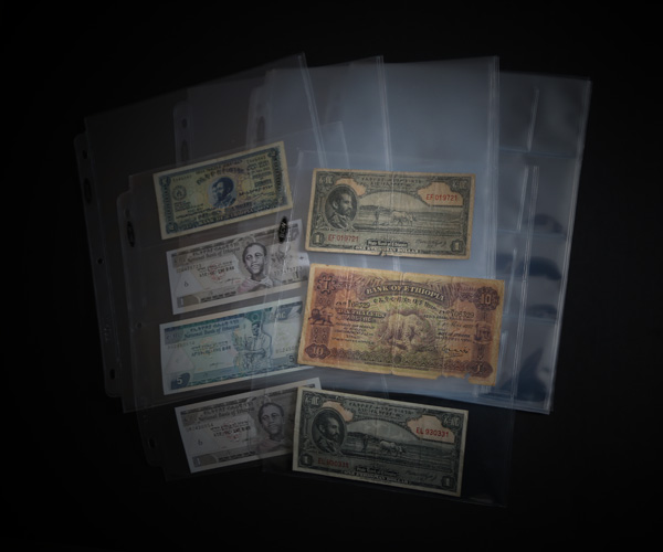 BCW 50 Page Currency Multipack