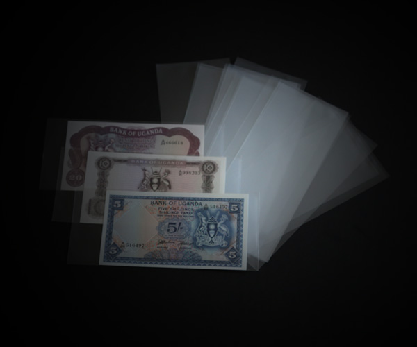 BCW Large Currency Sleeve 25 Pack