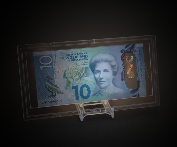 two piece bcw stand for banknotes and paper money slabs hold